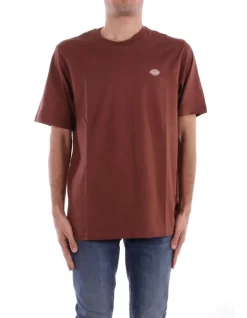 DICKIES T-shirt Uomo Ss mapleton tee cappuccino>Uomo T-Shirt